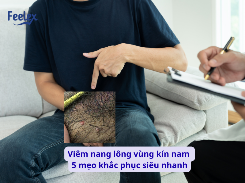 imgSrc