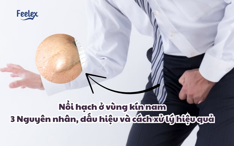 imgSrc