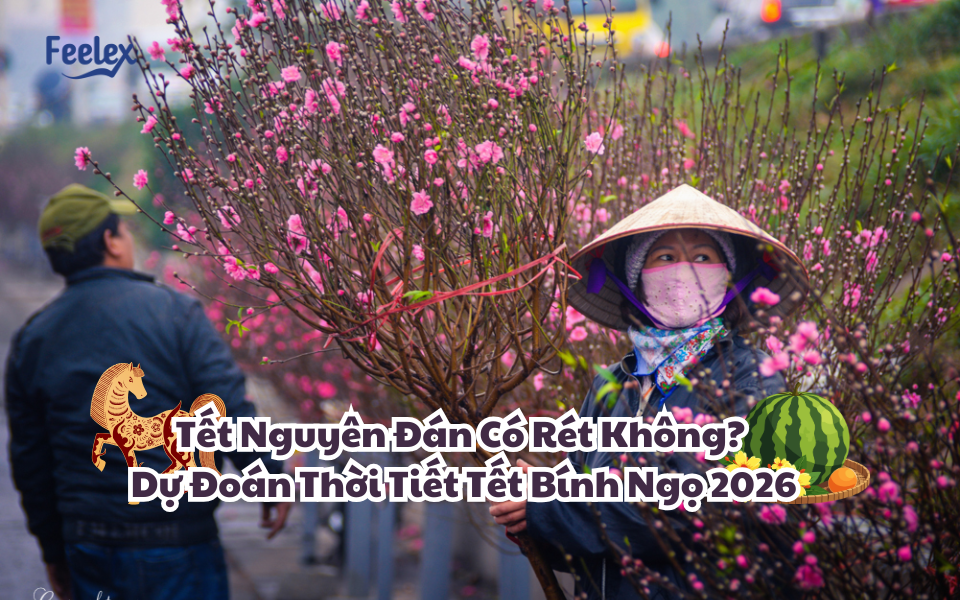 tet-nguyen-dan-co-ret-khong