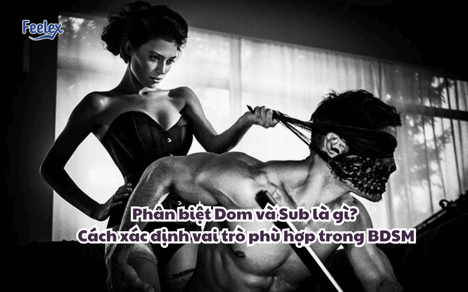 anh-bia-phan-biet-dom-va-sub