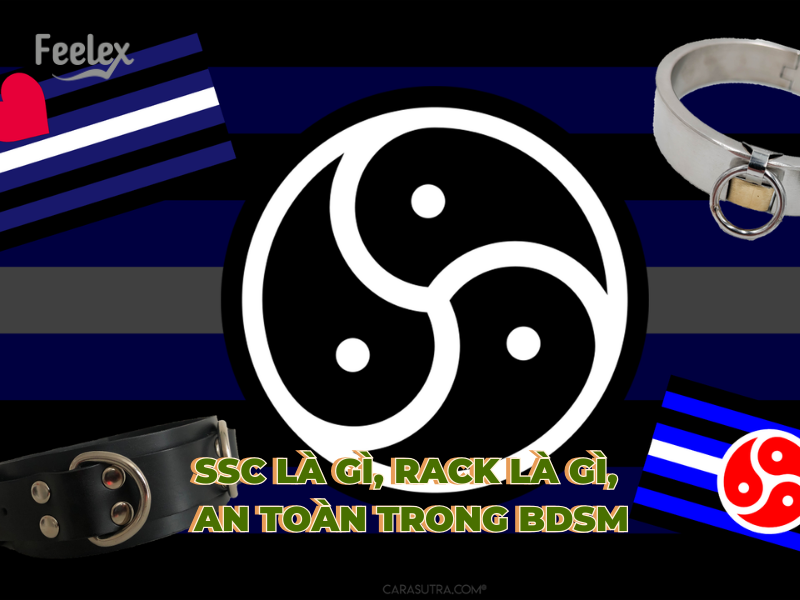 SSC là gì? RACK là gì?