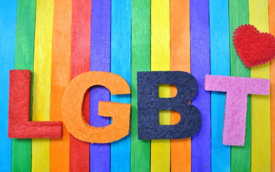 Cộng đồng LGBT gồm nhiều nhóm khác nhau