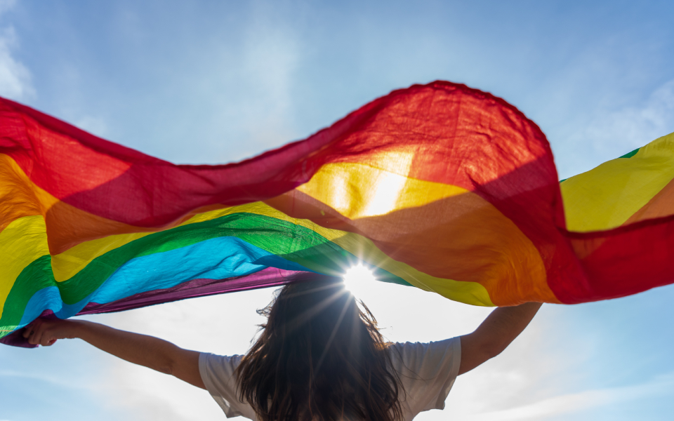 Quyền LGBT bảo vệ cộng đồng LGBT