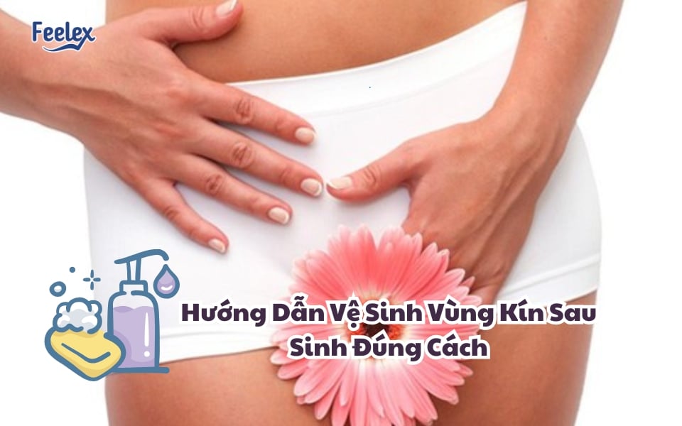 ve sinh vung kin sau sinh
