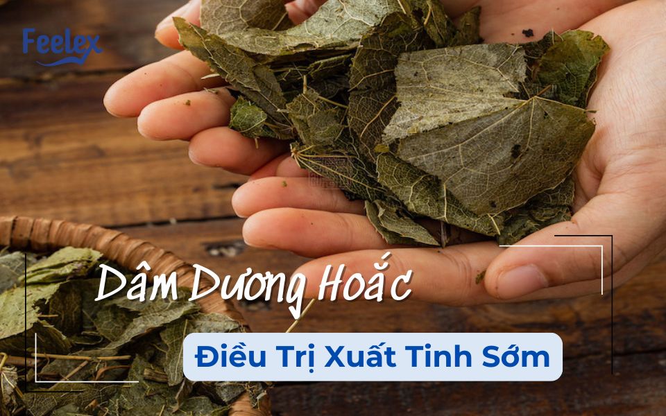 dâm dương hoắc