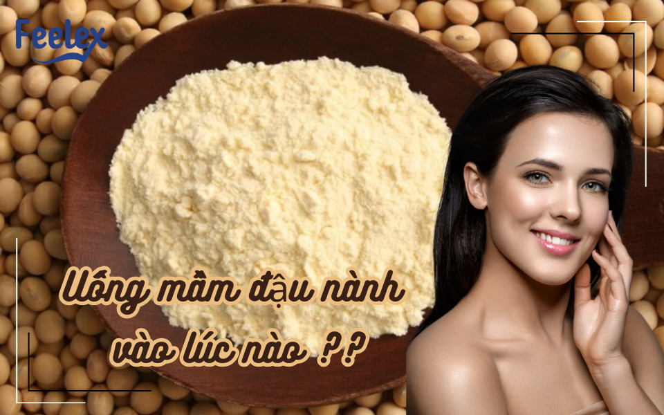 Uống mầm đậu nành vào lúc nào