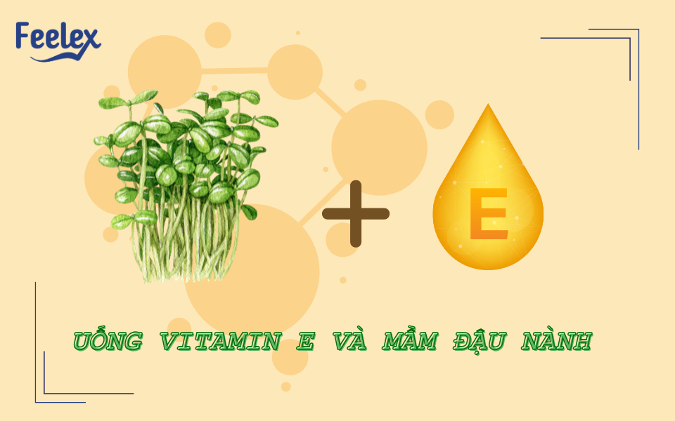 Uống vitamin E và mầm đậu nành