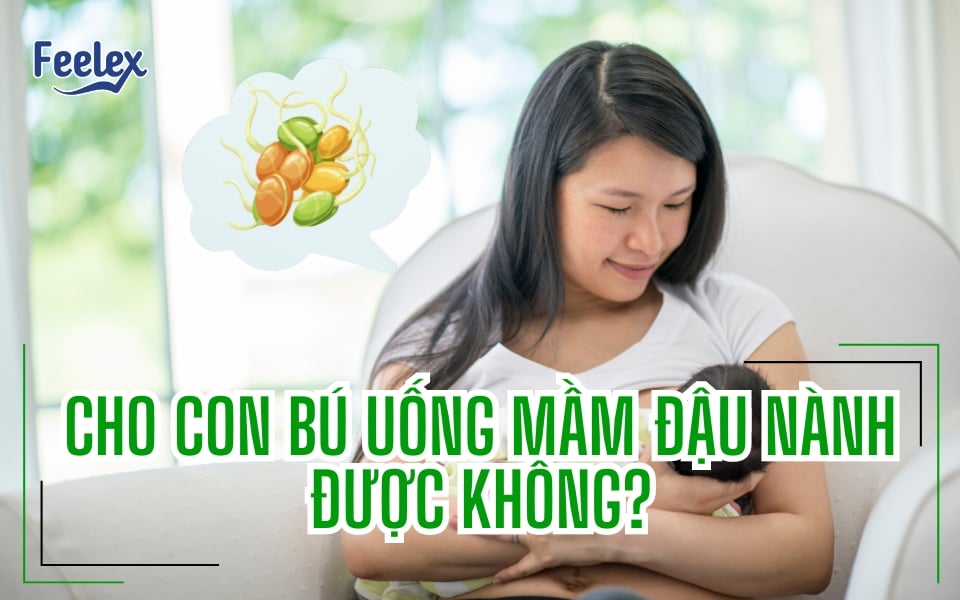 Cho Con Bú Uống Mầm Đậu Nành Được Không