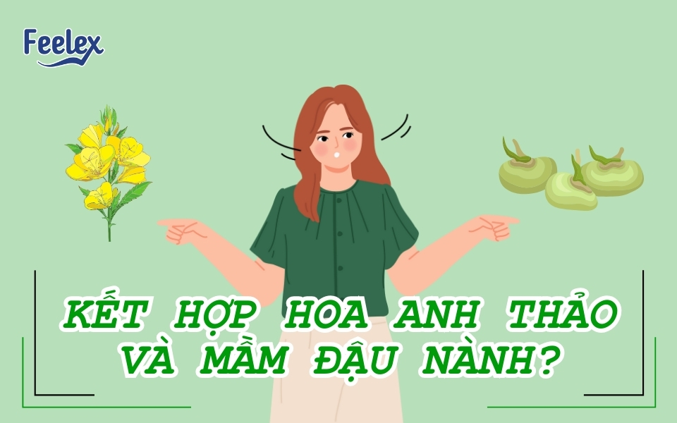 Hoa anh thảo và mầm đậu nành