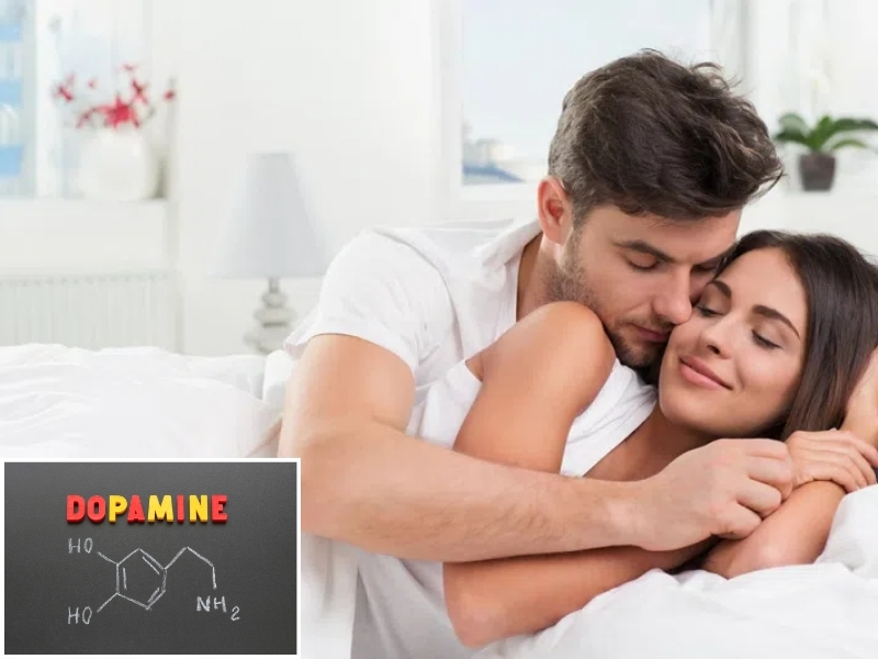 Hormone dopamine giúp tạo cảm giác thỏa mãn khi quan hệ tình dục