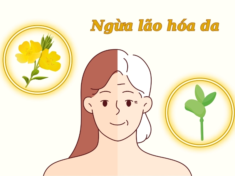 kết hợp hoa anh thảo và mầm đậu nành