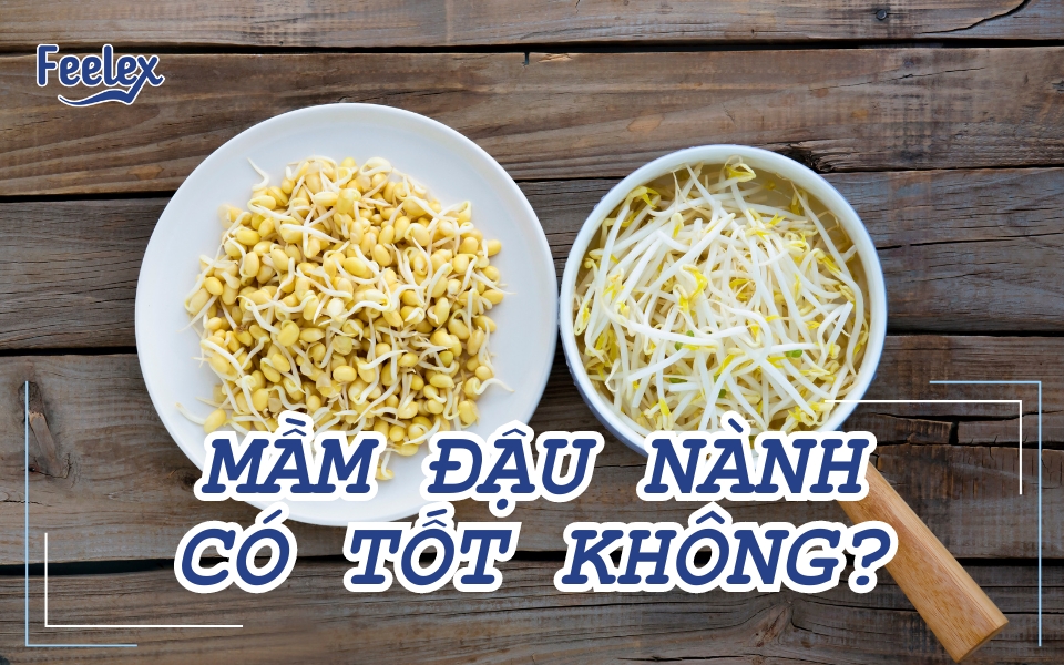 Mầm đậu nành có tốt không