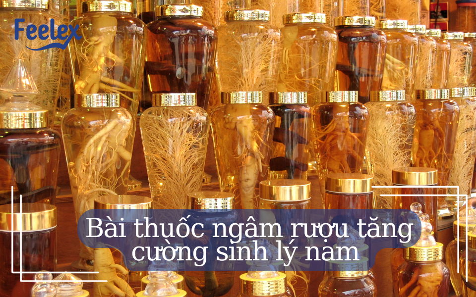 bài thuốc ngâm rượu tăng cường sinh lý nam