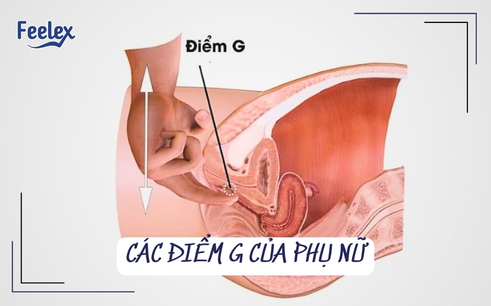 các điểm g của phụ nữ