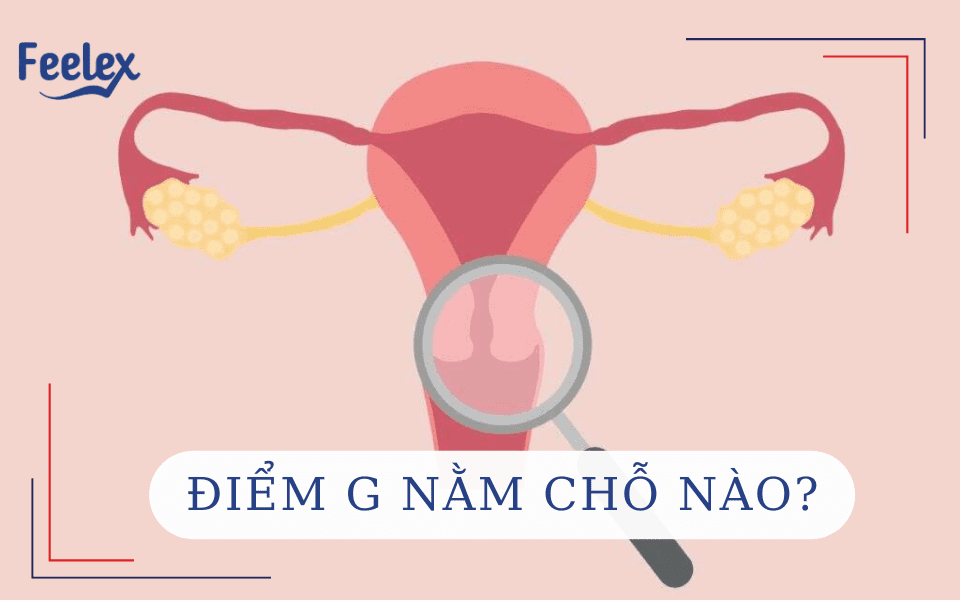 Điểm G nằm chỗ nào?