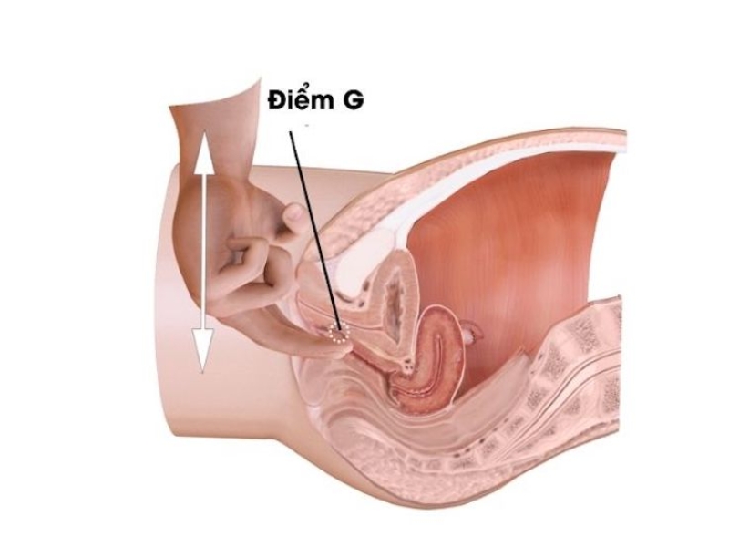 làm phụ nữ lên đỉnh nhanh nhất