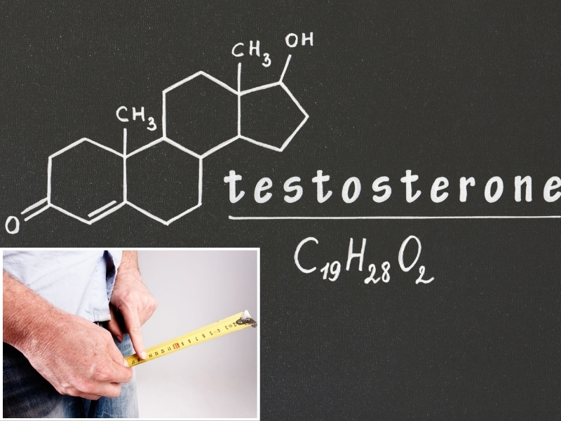 Hormone testosterone ảnh hưởng đến kích thước cậu nhỏ 