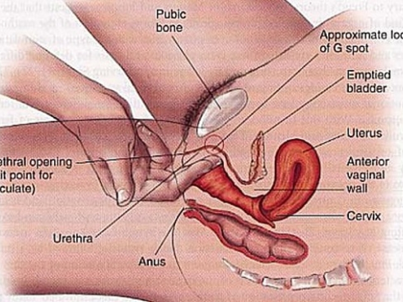 Sử dụng ngón tay để kích thích điểm G nhẹ nhàng 