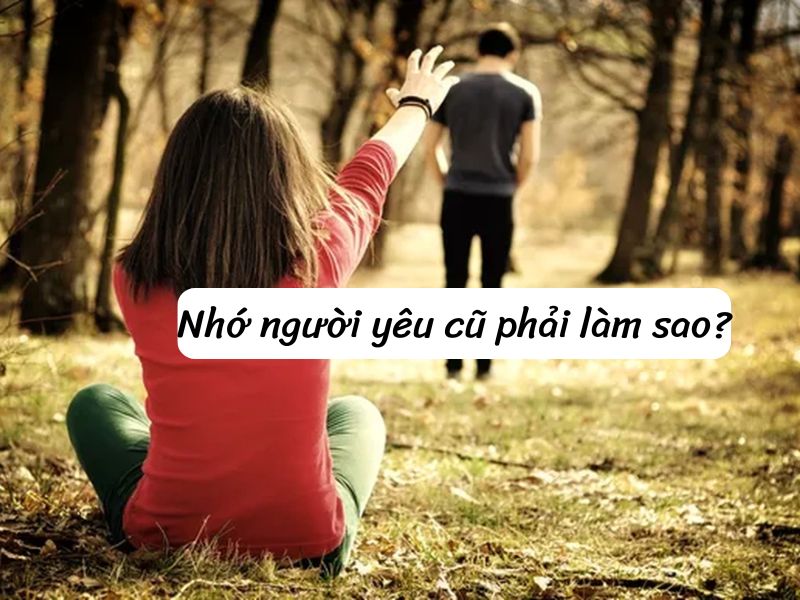 Nhớ người yêu cũ phải làm sao