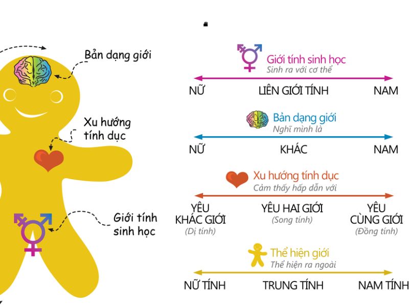 Khám phá xu hướng tình dục của bản thân