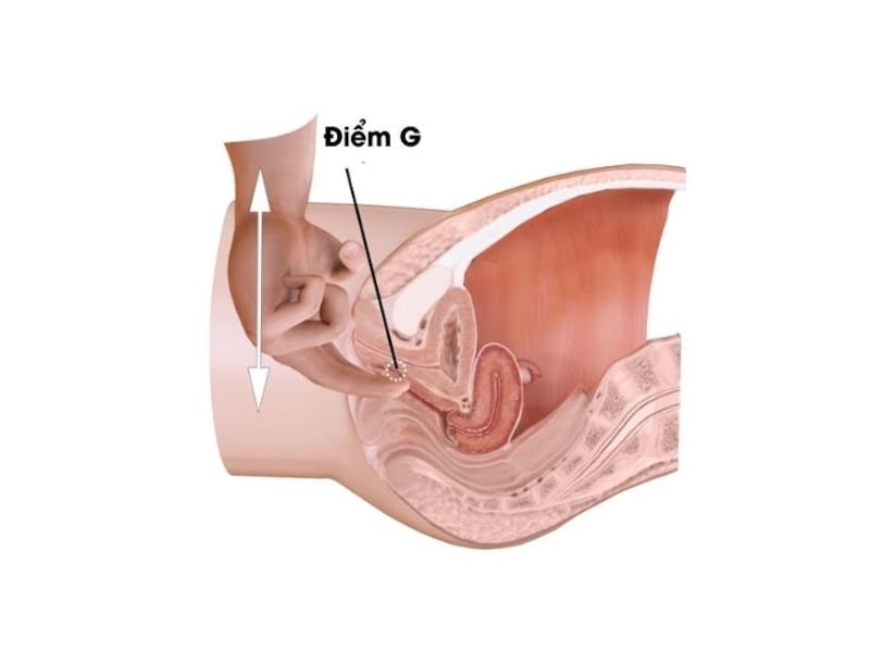 Móc cua giúp kích thích điểm G khi quan hệ 