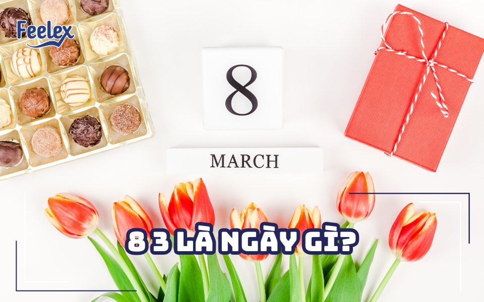 8 3 là ngày gì