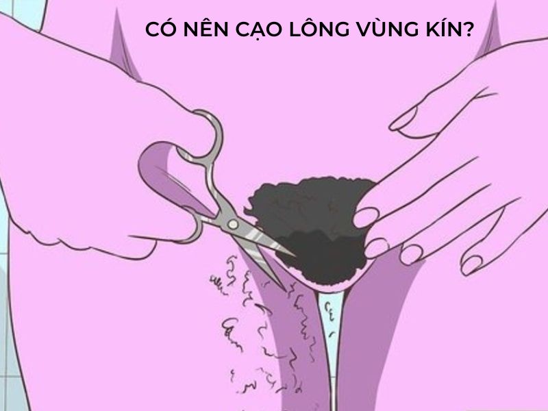 Co Nen Cao Long Vung Kin