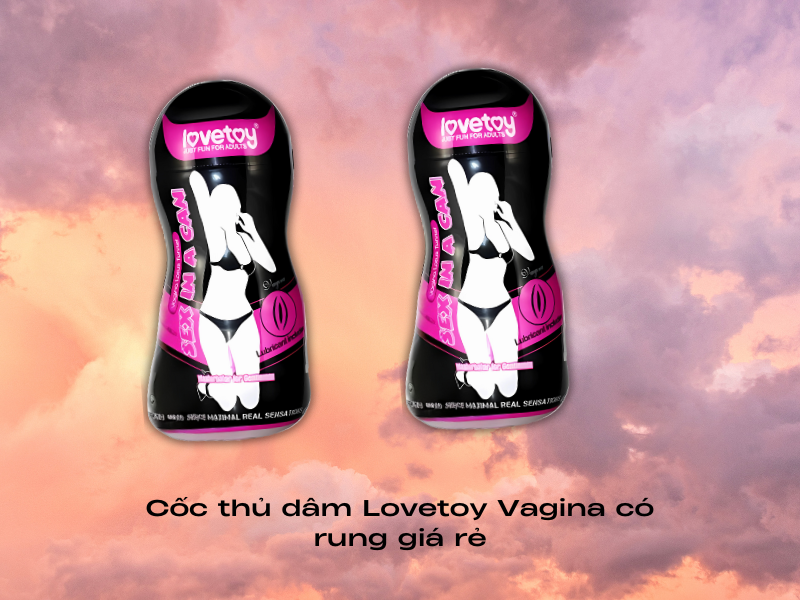 Cốc thủ dâm Lovetoy Vagina có rung giá rẻ