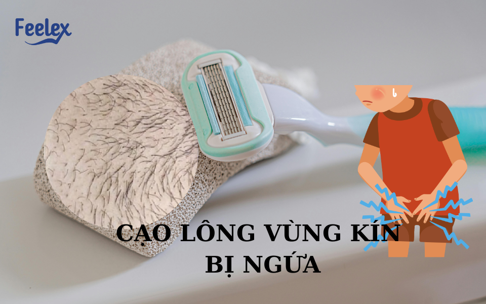 Cạo lông vùng kín bị ngứa