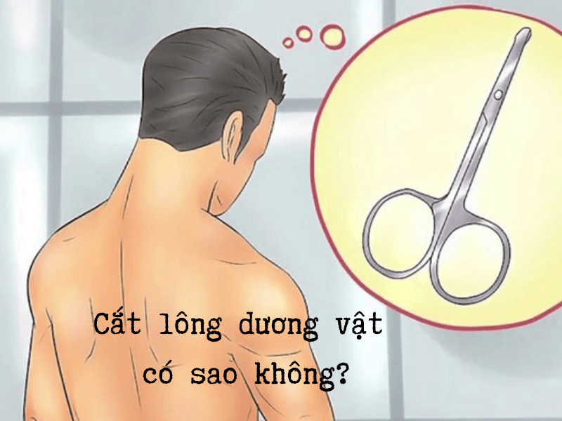 Cắt lông dương vật có ảnh hưởng gì không?