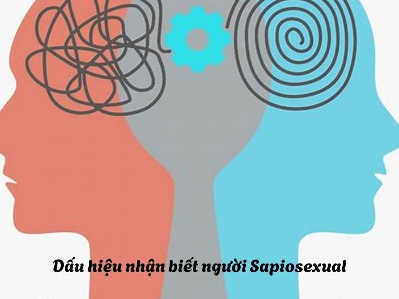 Các dấu hiệu cho thấy một người có xu hướng Sapiosexual