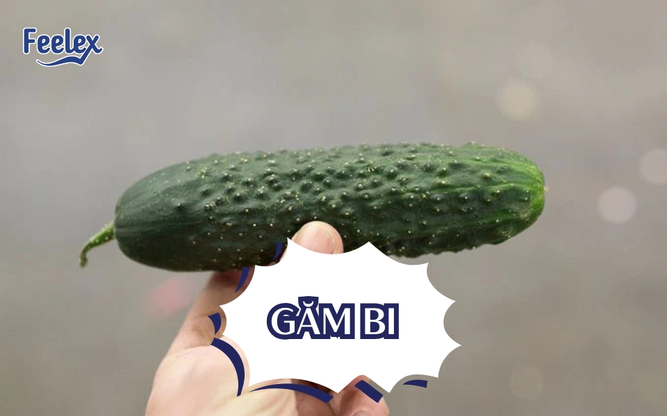 găm bi