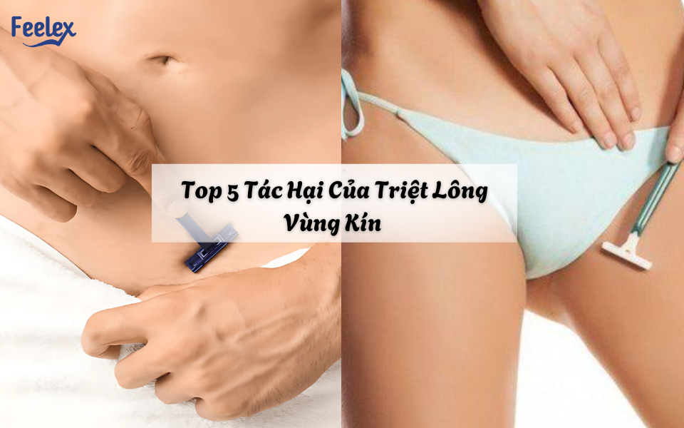 Tác Hại Của Triệt Lông Vùng Kín