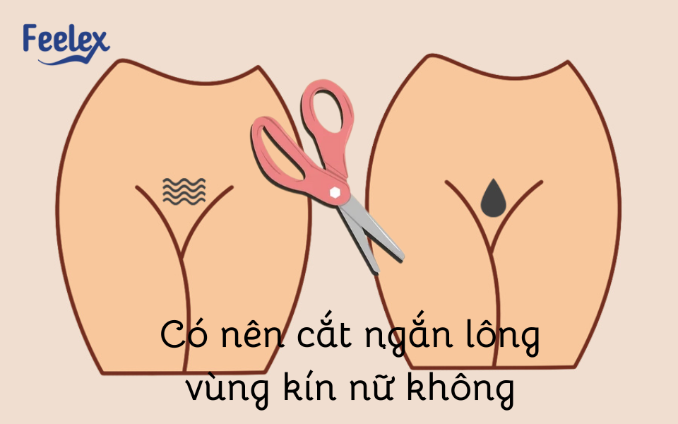 Có nên cắt ngắn lông vùng kín nữ không