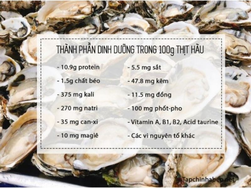 7 Tác Dụng Của Ăn Hàu Khiến Bạn Không Thể Bỏ Qua công dụng ăn hàu
