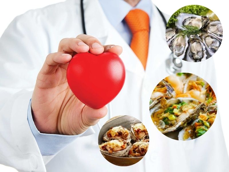 7 Tác Dụng Của Ăn Hàu Khiến Bạn Không Thể Bỏ Qua ăn hàu có tác dụng