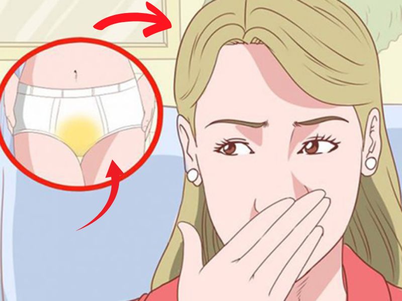 Mùi vị của bộ phận sinh dục nữ