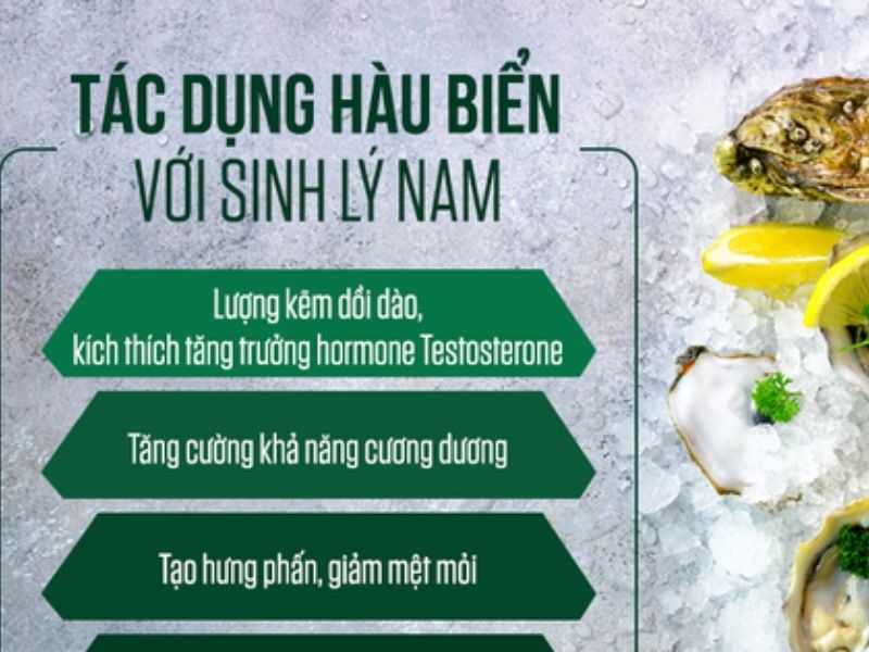 7 Tác Dụng Của Ăn Hàu Khiến Bạn Không Thể Bỏ Qua Tác Dụng Của Ăn Hàu