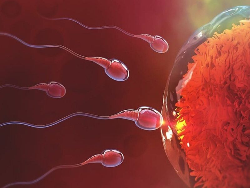 7 Dấu Hiệu Thụ Thai Sau 2 Ngày Quan Hệ Khiến Tim Đập Rộn Ràng Tang tiet dich am dao – co be tiet lo dieu gi