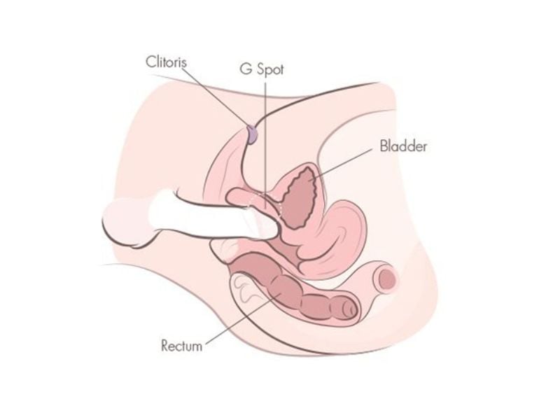 Cậu bé có thể vào sâu bao nhiêu? Có chạm cổ tử cung không? cậu bé có thể vào sâu bao nhiêu thì vừa