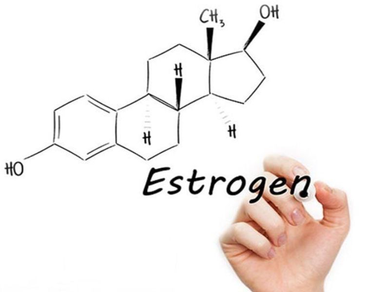 Cô Bé Ẩm Ướt Là Dấu Hiệu Gì? Giải Mã "Tín Hiệu" Từ Cơ Thể Estrogen tăng cao là một nguyên nhân khiến cô bé tiết nhiều dịch hơn