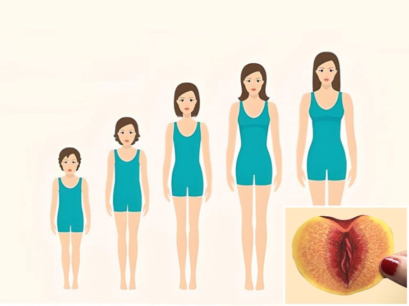 Không quan hệ bao lâu thì cô bé nhỏ lại? Tìm hiểu ngay! Việc cô bé “khít” hay không có thể do tuổi tác