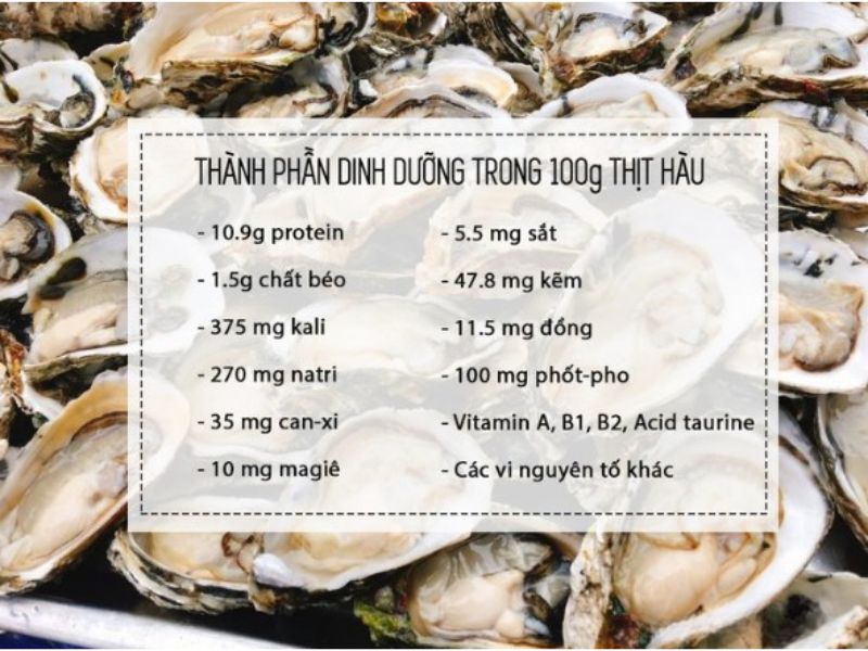 Bỏ túi ngay 7 sự thật về ăn hàu sống bạn nhất định phải biết Ăn hàu sống bổ gì