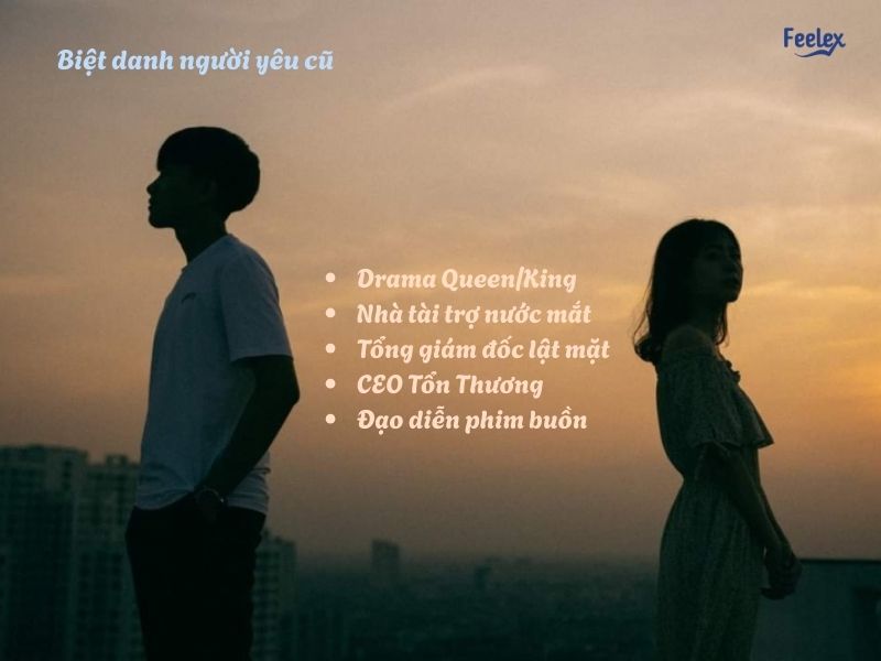 35+ biệt danh cho người yêu cũ độc lạ, hài hước Biet danh cho nguoi yeu cu toxic