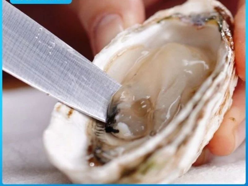 Hàu sống: Top 9+ điều bạn chưa biết về "siêu thực phẩm" vùng biển Cách làm hàu sống sạch