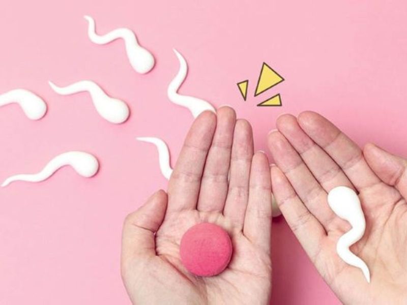 Cơ chế thuốc tránh thai khẩn cấp: Hiểu đúng để “yêu” an toàn Cơ chế thuốc tránh thai khẩn cấp
