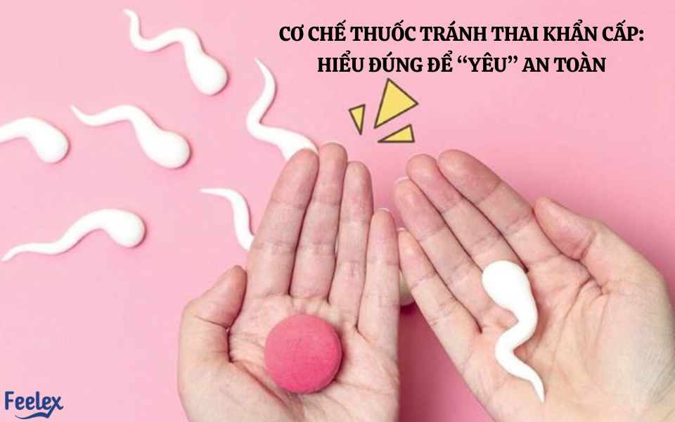 Cơ chế thuốc tránh thai khẩn cấp