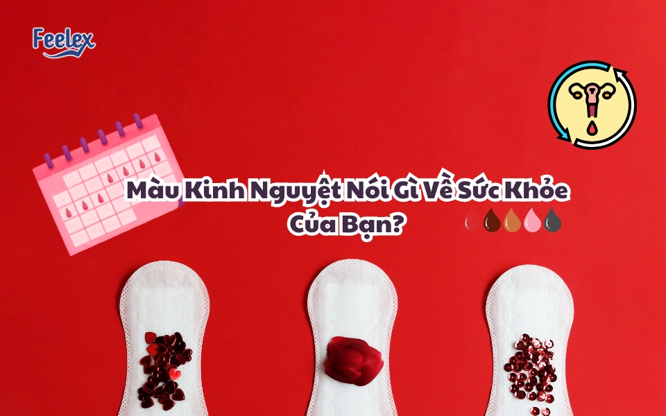 Mau Kinh Nguyet Noi Gi Ve Suc Khoe Cua Ban
