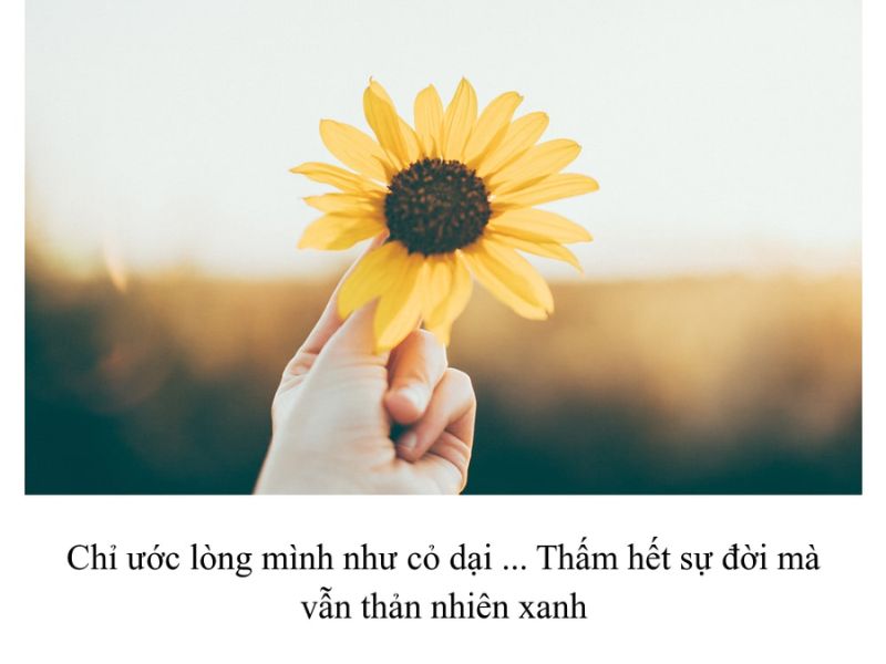 1001 STT Yêu Đời Thả Thính Khiến Mạng Xã Hội Rung Rinh thính yêu đời