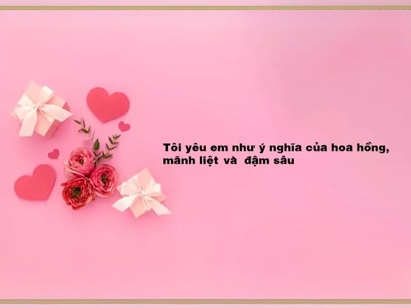 STT Thả Thính Về Hoa: 1001 Câu Thả Tình Dễ "Dính" Cực Lãng Mạn Thả Thính Về Hoa Hồng
